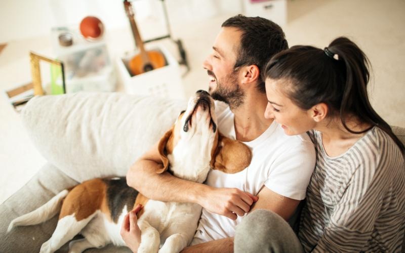 a man and woman holding a dog